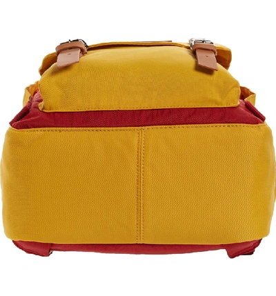 Shop Doughnut Macaroon Colorblock Backpack In Wine/ Mustard