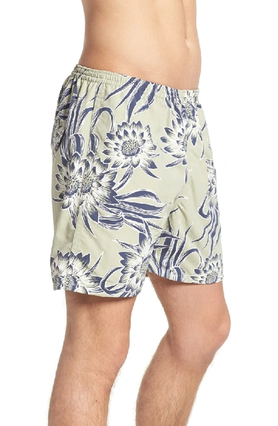 Shop Patagonia Baggies 5-inch Swim Trunks In Cereus Flower Desert Sage