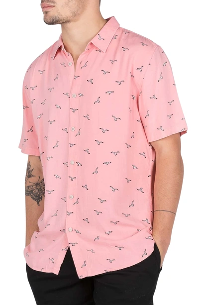 Shop Barney Cools Seagull Print Shirt In Pink Seagull