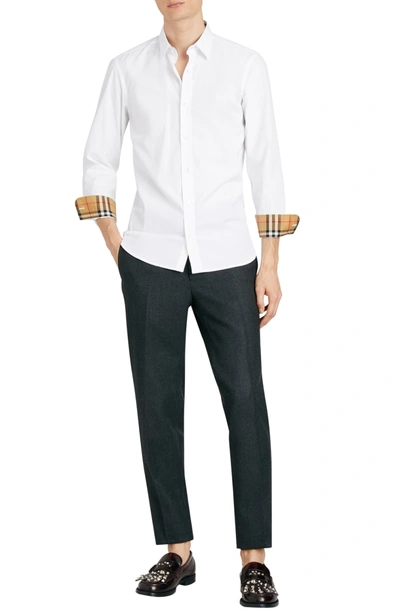 Shop Burberry William Stretch Solid Sport Shirt In White