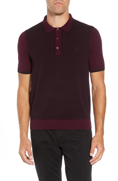 Shop Fred Perry Tipped Polo In Rich Mahogany