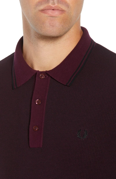 Shop Fred Perry Tipped Polo In Rich Mahogany