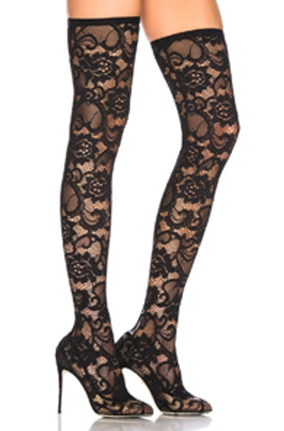 Shop Dolce & Gabbana Lace Thigh High Boots In Black
