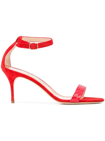 Shop Manolo Blahnik Chaos Sandals - Red