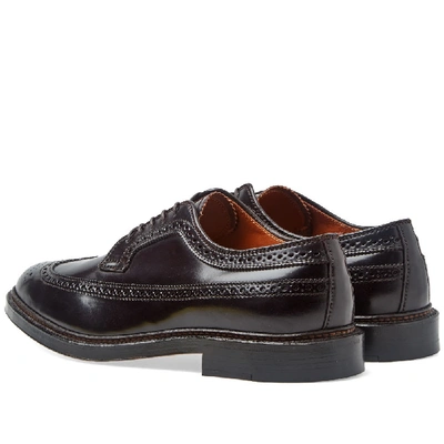 Shop Alden Shoe Company Alden Long Wing Brogue In Burgundy