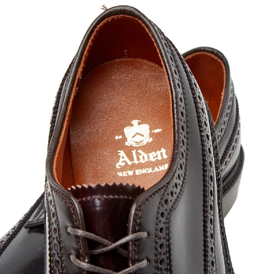 Shop Alden Shoe Company Alden Long Wing Brogue In Burgundy