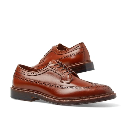 Shop Alden Shoe Company Alden Long Wing Brogue In Brown