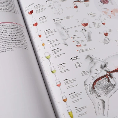 Shop Publications Food & Drink Infographics: A Visual Guide To Culinary Pleasures In N/a