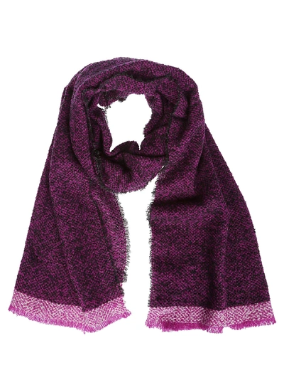 Shop Destin Surl Frayed Scarf In Purple