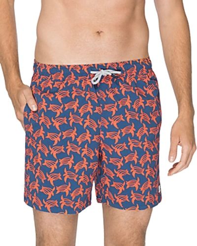 Shop Tom & Teddy Turtle-print Swim Trunks In Navy Orange