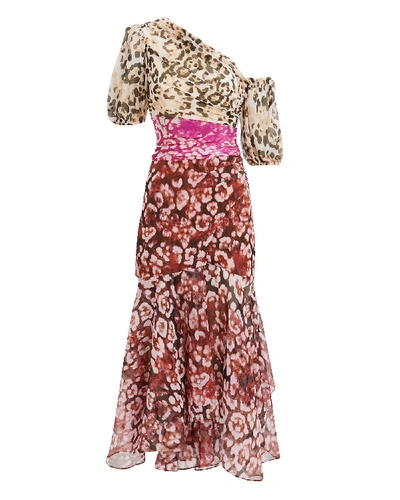 Shop Amur Jaylah Mixed Animal Print Dress