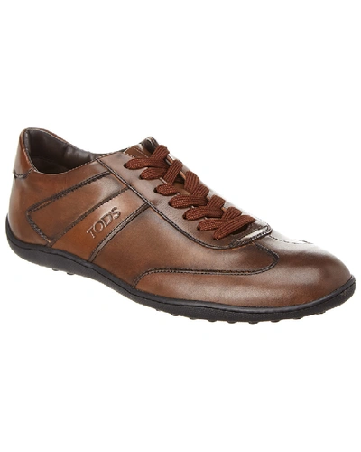 Shop Tod's Tods Leather Sneaker In Brown