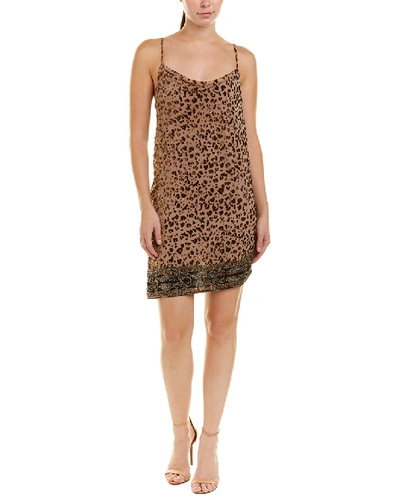 Shop Haute Hippie Sahara Mini Dress In Brown