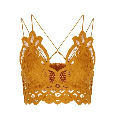 Shop Free People Adella Dusty Pink Lace Bra Top In Gold