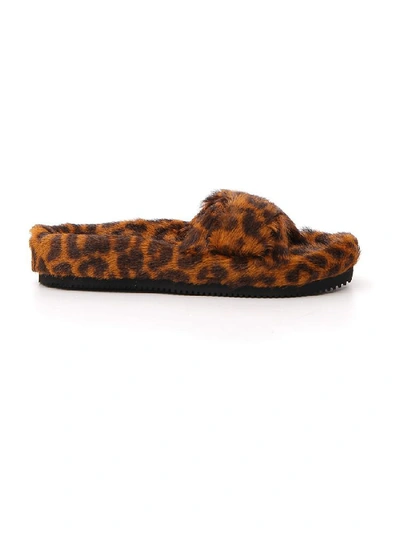 Shop Alexander Wang Goat Fur Leopard Print Slides In Brown