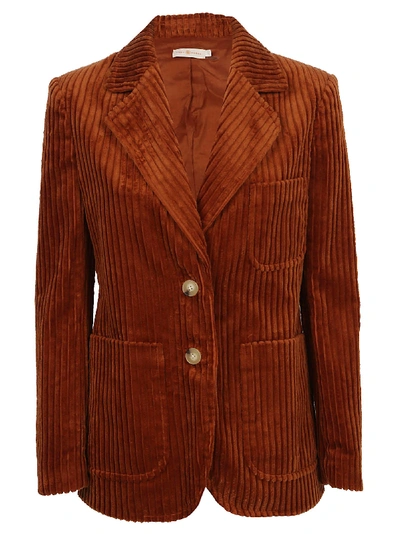 Shop Tory Burch Corduroy Jacket In Brown