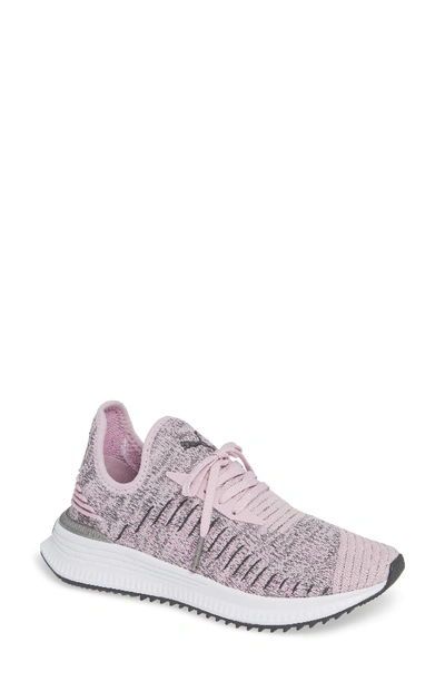 Shop Puma Avid Evoknit Sneaker In Winsome Orchid-iron-orchid