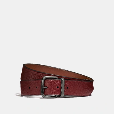 Shop Coach Harness Buckle Cut-to-size Reversible Belt, 38mm In Red Currant/saddle