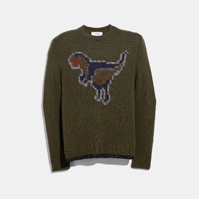 Shop Coach Pullover Mit Pixel Rexy-intarsia In Olive