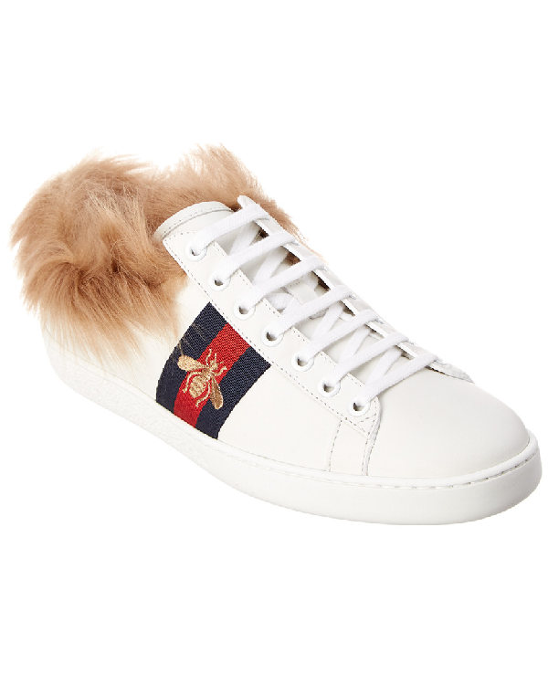 gucci ace wool