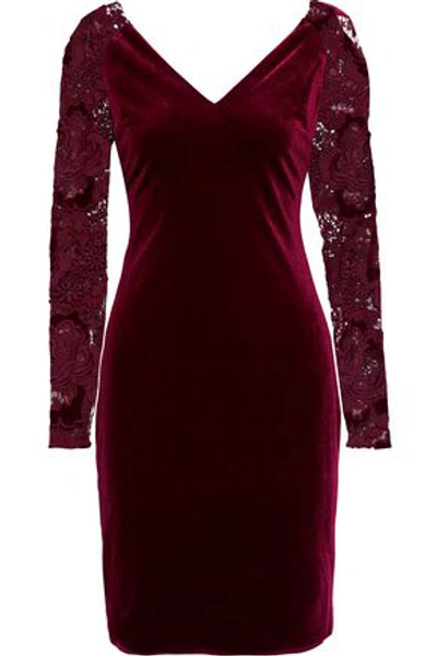 Shop Badgley Mischka Woman Guipure Lace-paneled Velvet Dress Plum