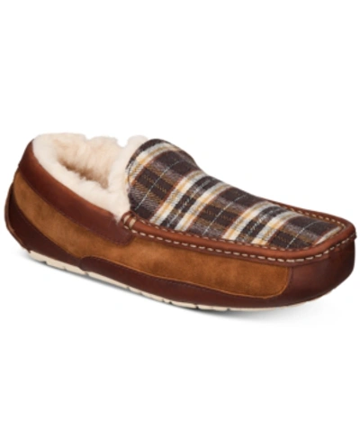 Ugg ascot on sale slipper plaid