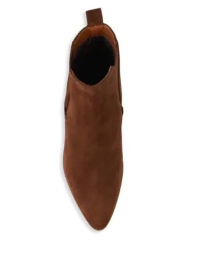 Shop Aquatalia Farica Suede Chelsea Boots In Chestnut