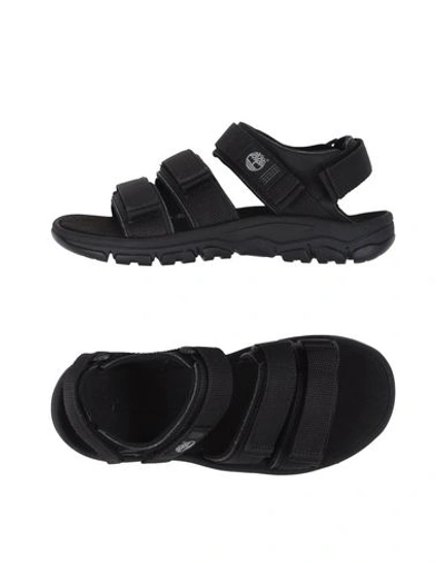 Shop Timberland Sandals In Black