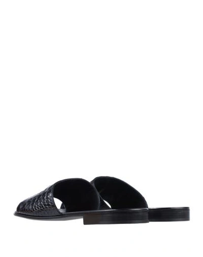 Shop Giuseppe Zanotti Sandals In Black