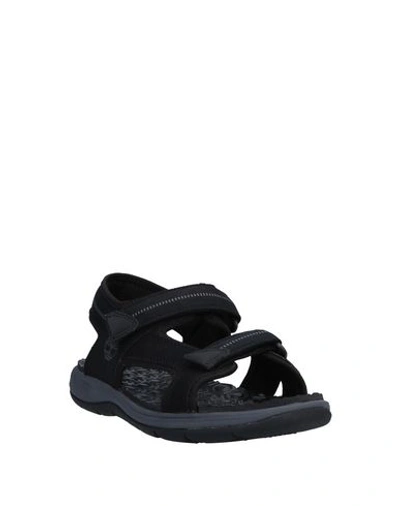 Shop Timberland Sandals In Black