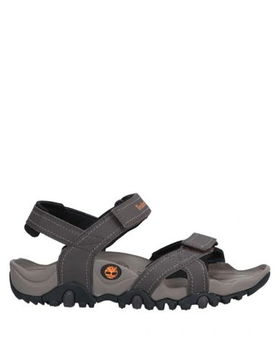 Shop Timberland Sandals In Lead