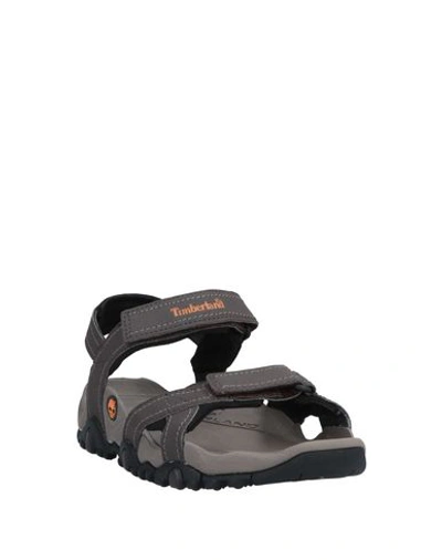 Shop Timberland Sandals In Lead