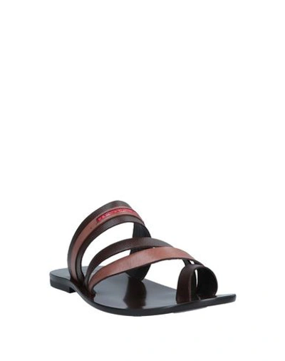 Shop Fabiano Ricci Flip Flops In Dark Brown