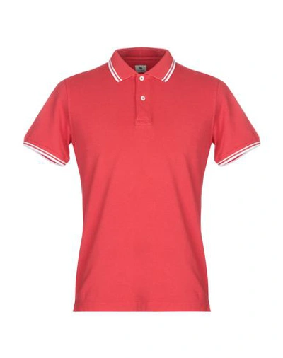 Shop Colombo Polo Shirt In Red