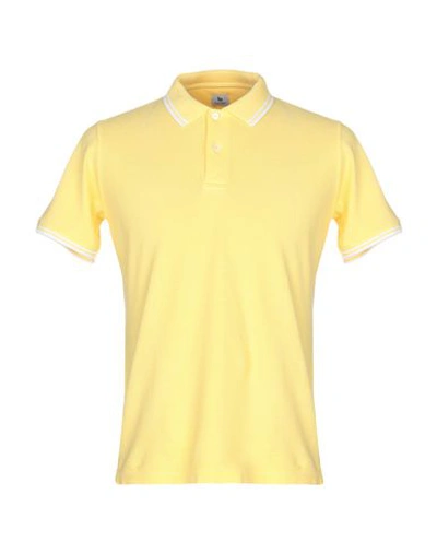 Shop Colombo Polo Shirt In Yellow