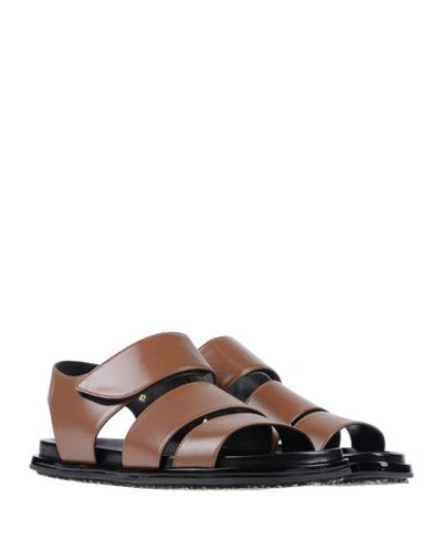 Shop Marni Sandals In Cocoa