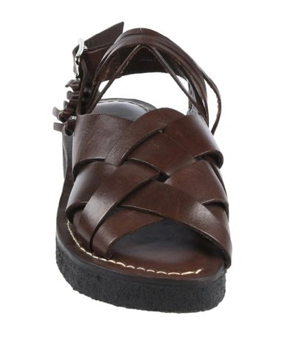 Shop Zucca Sandals In Cocoa