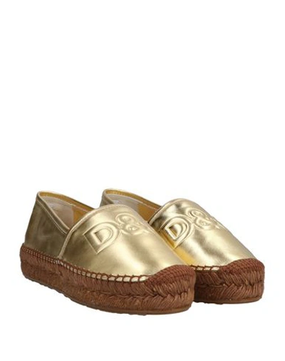 Shop Dolce & Gabbana Espadrilles In Gold