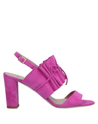 Shop Alexander White Sandals In Fuchsia