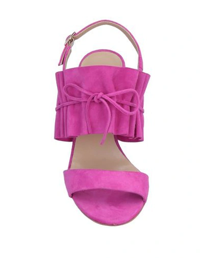 Shop Alexander White Sandals In Fuchsia