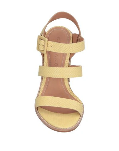 Shop Carrano Sandals In Light Yellow