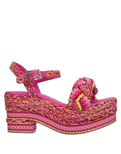 Shop Antolina Paris Sandals In Fuchsia