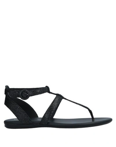 Shop Hogan Woman Thong Sandal Black Size 6.5 Soft Leather