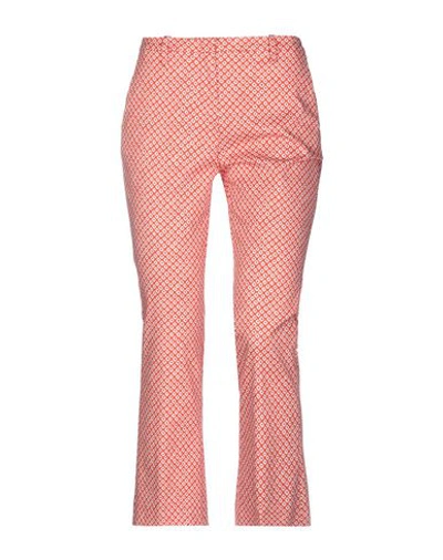 Shop Argonne Casual Pants In Orange