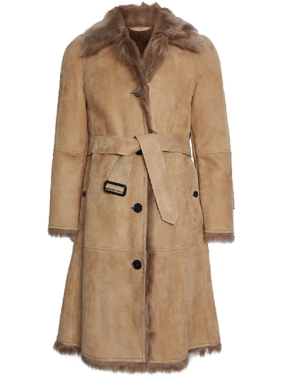 Shop Burberry Shearling Car Coat In Neutrals