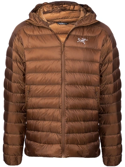 Shop Arc'teryx Zipped Padded Jacket - Brown