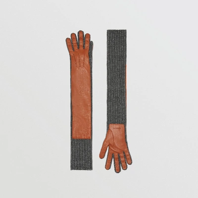 Shop Burberry Cashmere And Lambskin Longline Gloves In Tan/charcoal