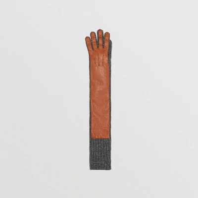 Shop Burberry Cashmere And Lambskin Longline Gloves In Tan/charcoal