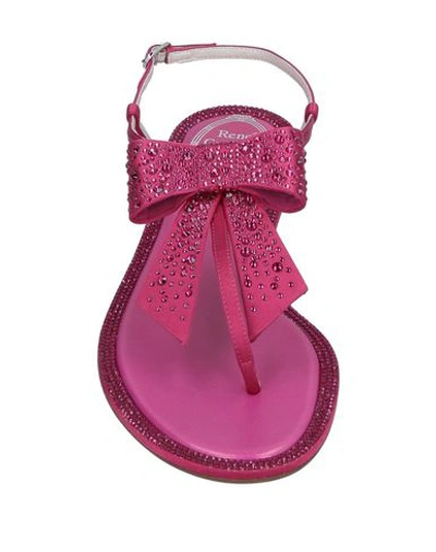 Shop René Caovilla Flip Flops In Fuchsia