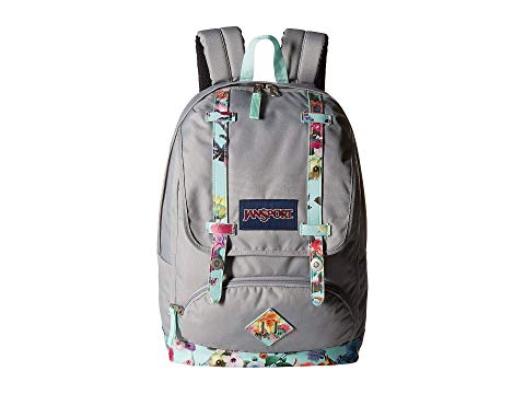 jansport cortlandt
